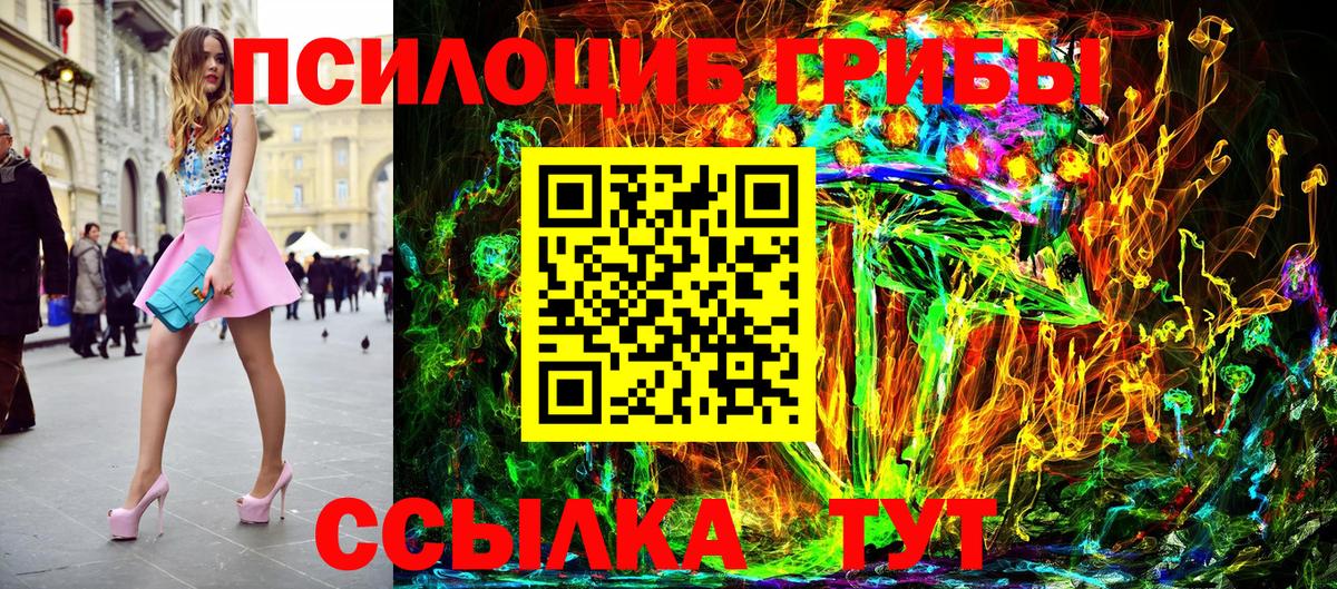 Галлюциногенные грибы Psilocybine cubensis Лабытнанги