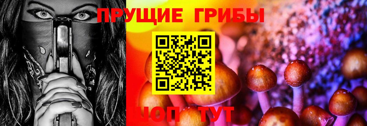 Псилоцибиновые грибы Лабытнанги